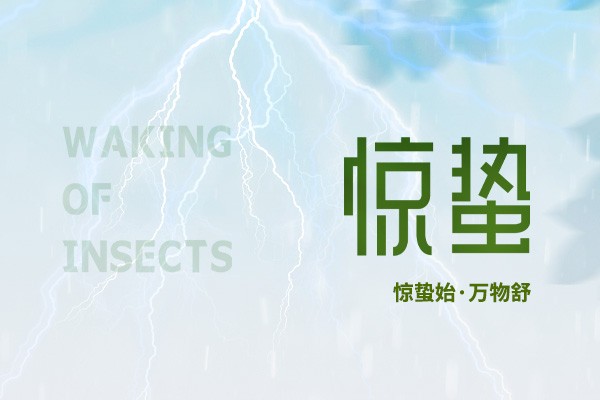 時至驚蟄 | 春雷始鳴，萬物生機盎然